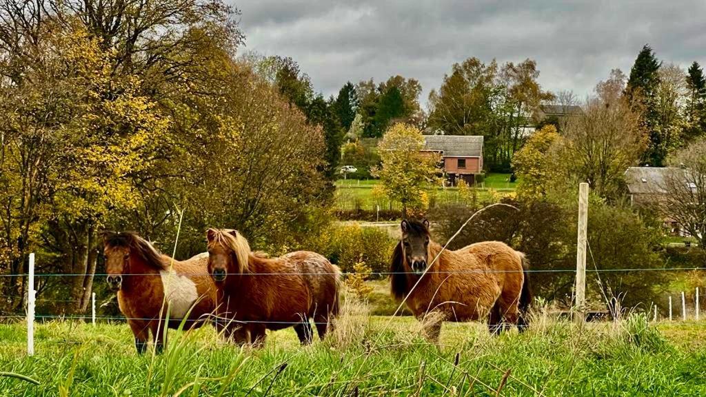 La Maison Attila En Ardennes Libin ภายนอก รูปภาพ